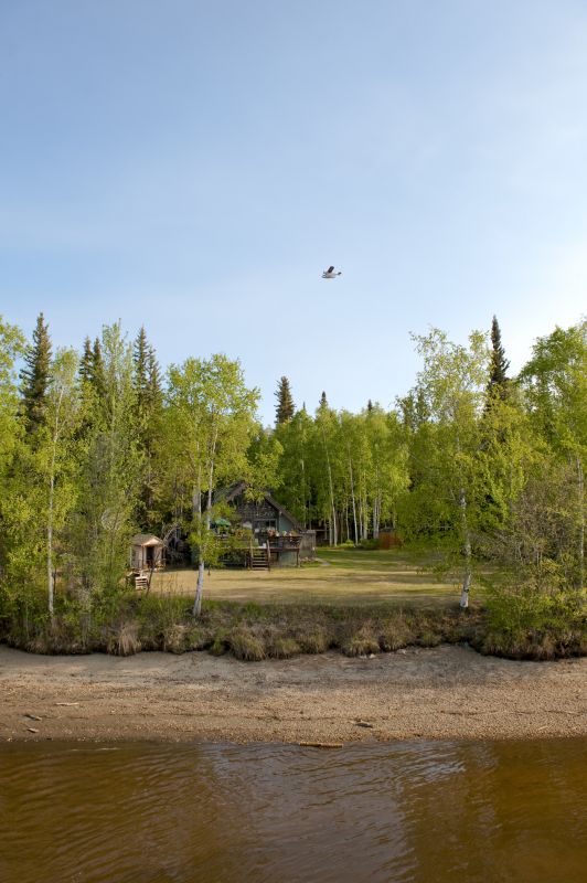 Products For Lot Clearing Service in use
