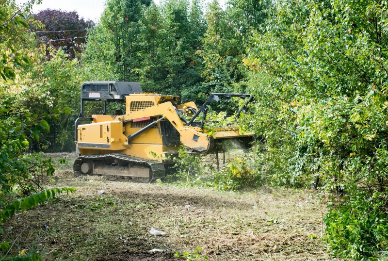 Property Line Clearing in Utah County, UT