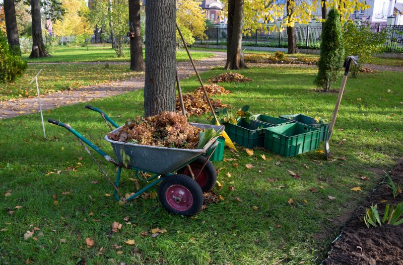 Site Clearing Service in Cumming, GA