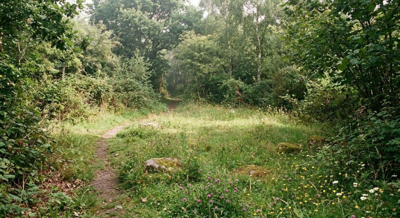 Salt Lake City, UT