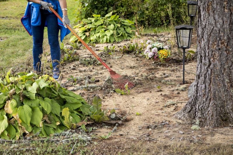 Contact About Lot Clearing Service